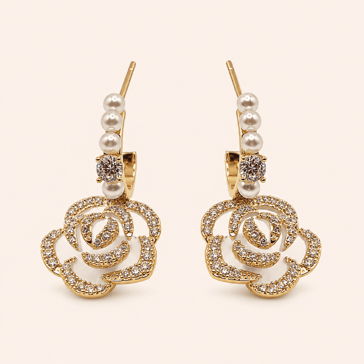 Shining Stone Earings - LBOS
